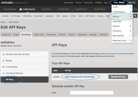 Why is API key invalid?