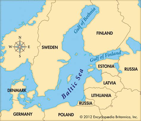 Why is Baltic Sea so brown?