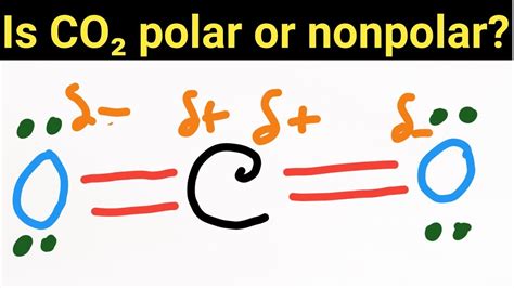 Why is COOH more polar than OH?