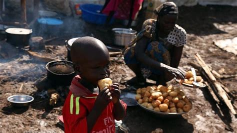 Why is Cameroon food insecure?