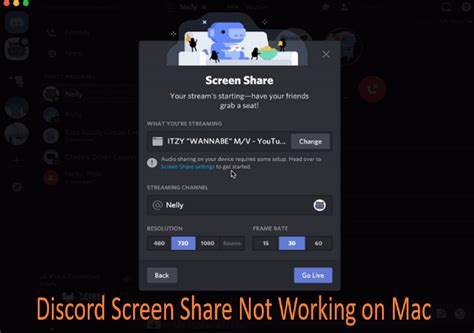 Why is Discord not showing screen share application?
