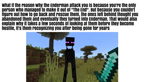 Why is Enderman angry?