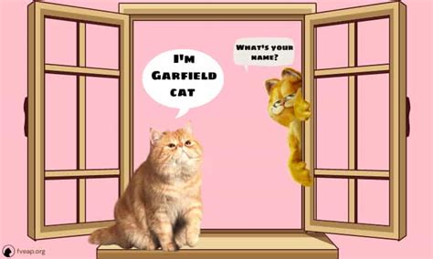 Why is Garfield a cat?