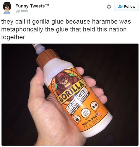 Why is Gorilla Glue so sticky?
