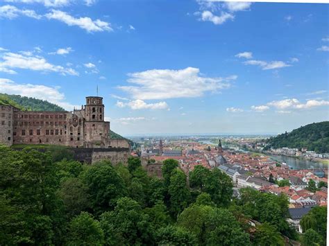 Why is Heidelberg called Heidelberg?