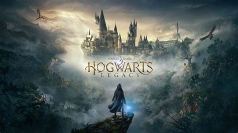 Why is Hogwarts single-player?