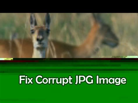 Why is JPG file corrupted?