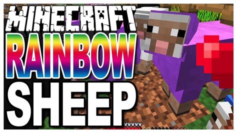 Why is Jeb rainbow?