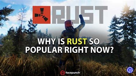 Why is Rust so cool?