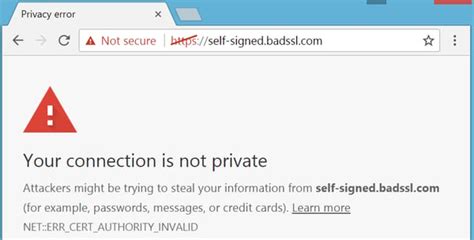 Why is SSL certificate not trusted?