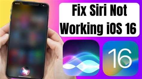 Why is Siri named sir?