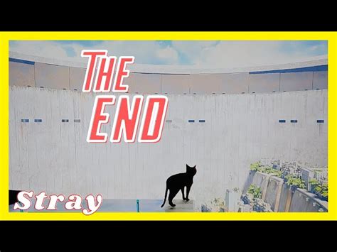 Why is Stray ending so sad?