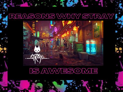 Why is Stray good?