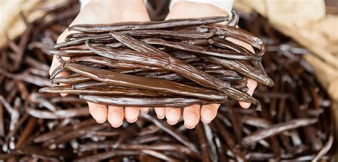 Why is Tahitian vanilla so expensive?