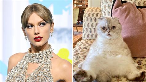 Why is Taylor Swift's cat so rich?