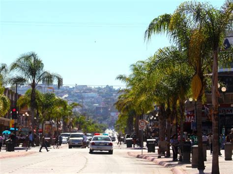 Why is Tijuana so famous?