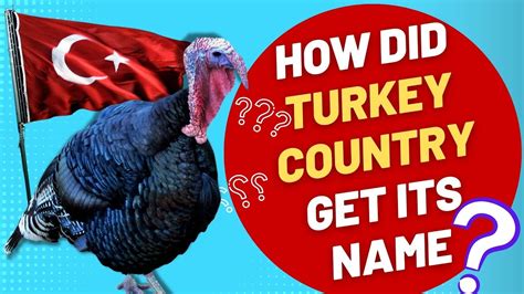 Why is Turkey called Turkey?