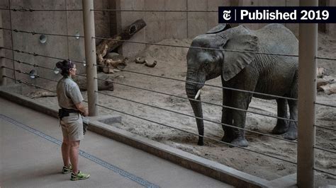 Why is Utah zoo getting rid of elephants?