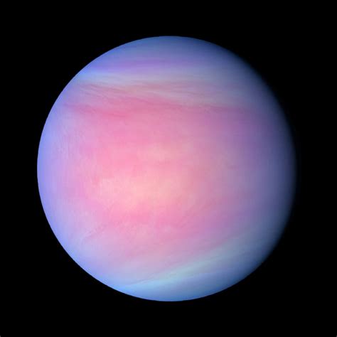 Why is Venus pink?