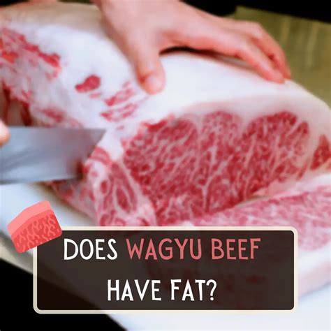 Why is Wagyu so fatty?