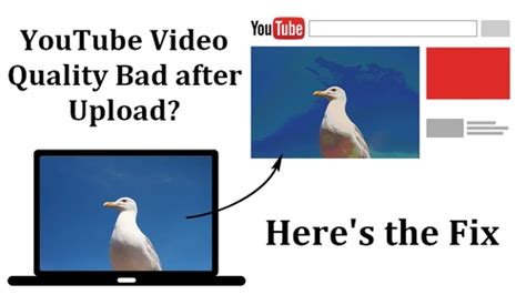 Why is YouTube such bad quality?