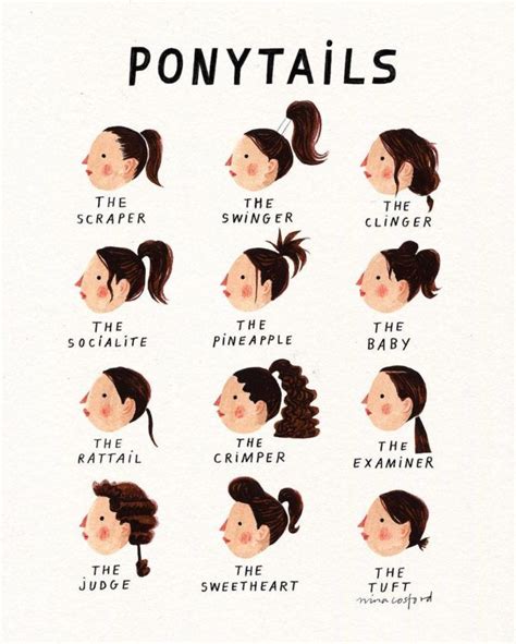 Why is a ponytail called a ponytail?