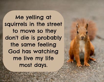 Why is a squirrel yelling at me?