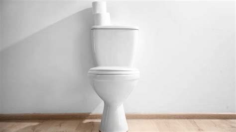 Why is a toilet called a loo?