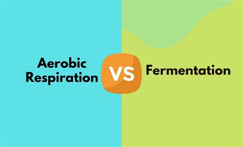 Why is aerobic better than fermentation?