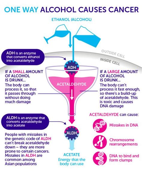 Why is alcohol linked to cancer?