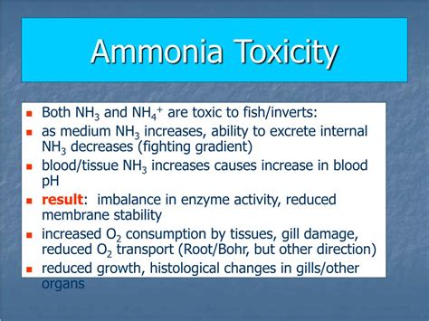 Why is ammonia toxic?