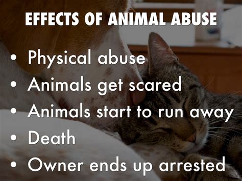 Why is animal cruelty bad for humans?