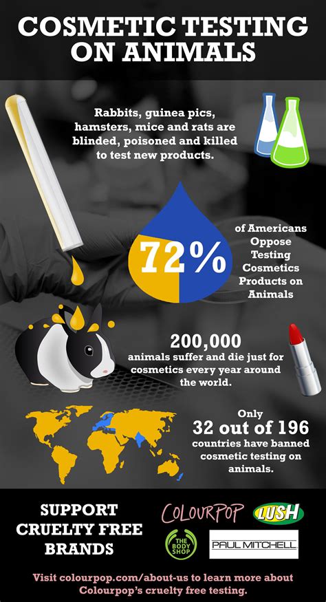 Why is animal testing bad for the environment?