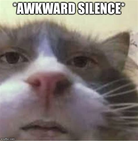 Why is awkward silence uncomfortable?