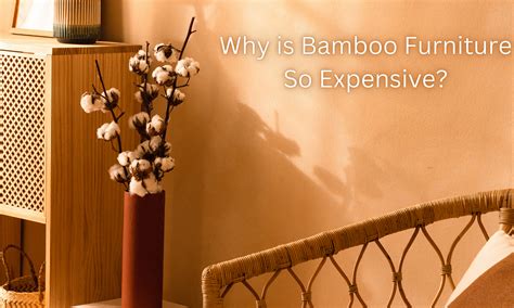 Why is bamboo furniture so expensive?