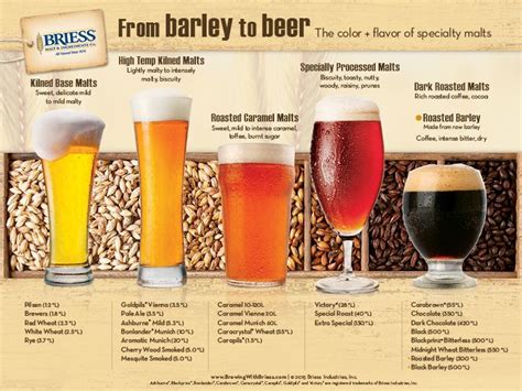 Why is barley preferred for brewing?