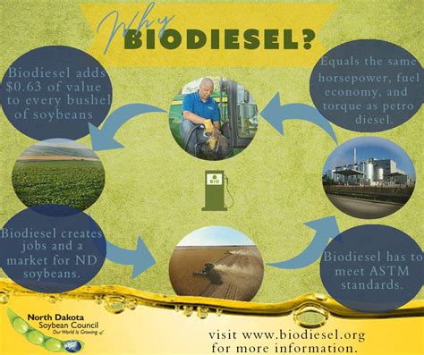 Why is biodiesel not sustainable?
