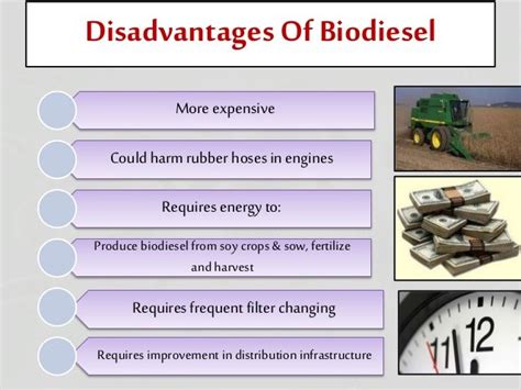 Why is biodiesel so expensive?