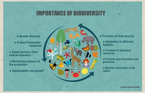 Why is biodiversity important?