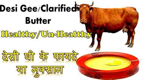 Why is butter unhealthy but ghee healthy?