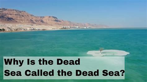 Why is called Dead Sea?