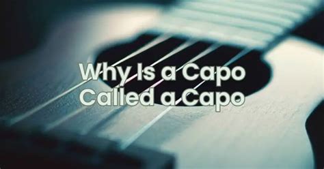 Why is capo called capo?