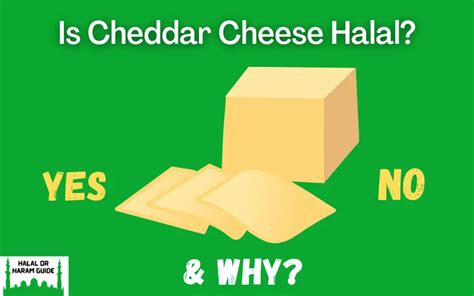 Why is cheese haram in Islam?