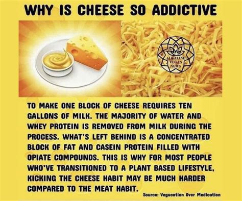 Why is cheese so addictive?