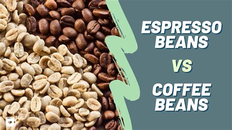 Why is coffee called a bean?