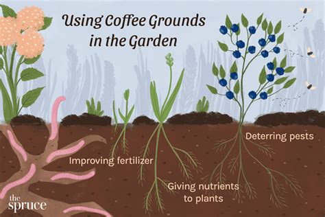 Why is coffee good for plants?