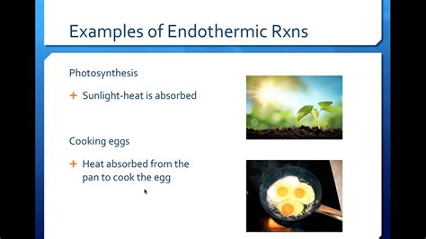 Why is cooking an egg endothermic?