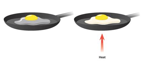 Why is cooking an egg irreversible?