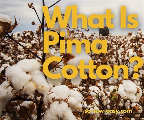Why is cotton so nice?