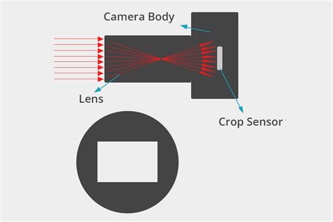 Why is crop sensor better?